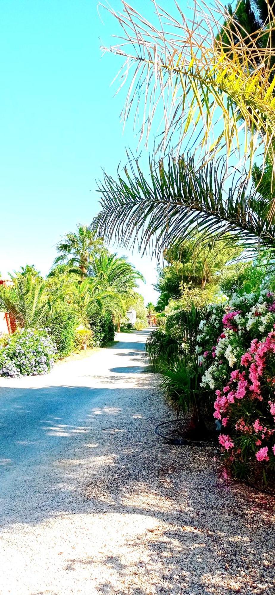 Happymobilhome Argeles-Sur-Mer -Plage A 500M- Camping 4 Etoiles Del Mar Ngoại thất bức ảnh